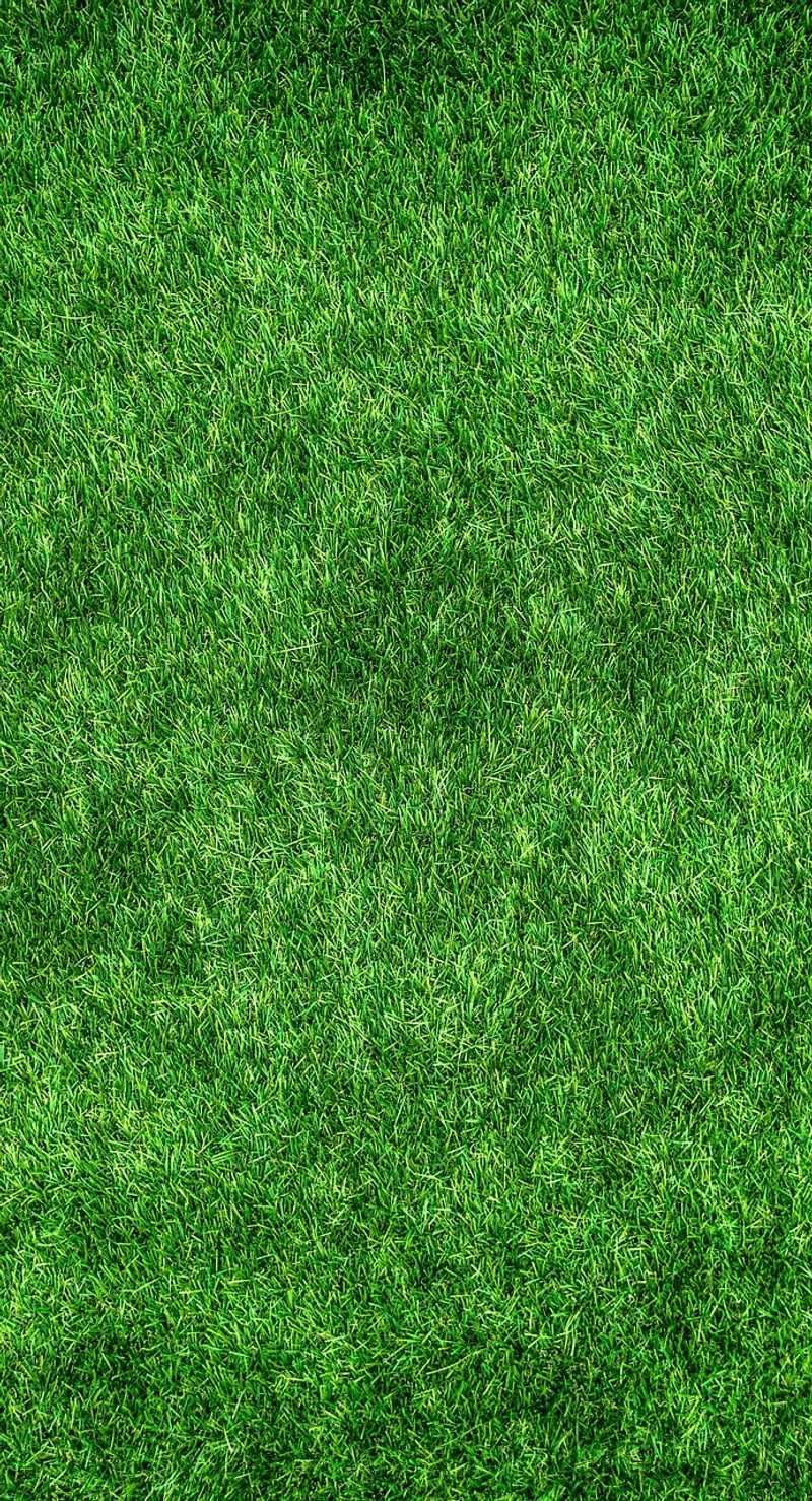 Eco-Friendly Apps